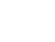 SecureBag